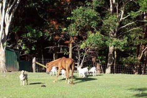 Property photo of 122 Beddington Road Doonan QLD 4562