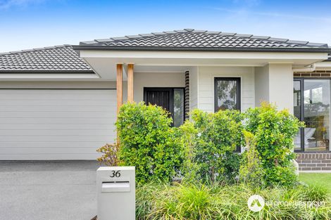 Property photo of 36 Girramay Street Yarrabilba QLD 4207