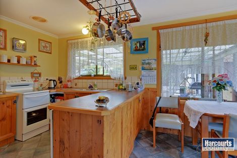Property photo of 11 Warreen Drive Penguin TAS 7316
