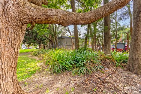 Property photo of 66 Griffin Road Dee Why NSW 2099