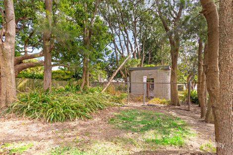 Property photo of 66 Griffin Road Dee Why NSW 2099