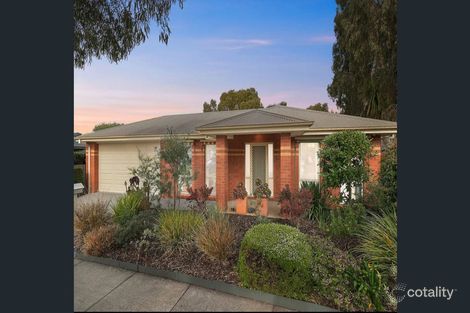 17 Ficinia Mews, Highton, VIC 3216