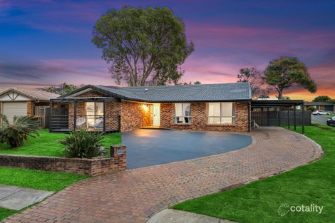 Property photo of 17 Bruna Street Runcorn QLD 4113