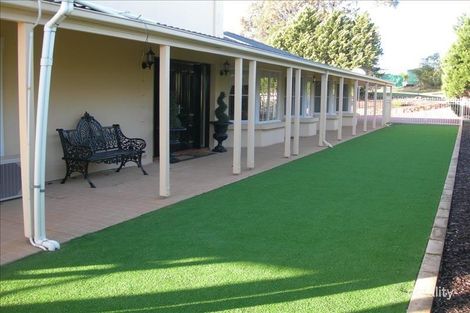 Property photo of 6 Yateri Court Greenwith SA 5125