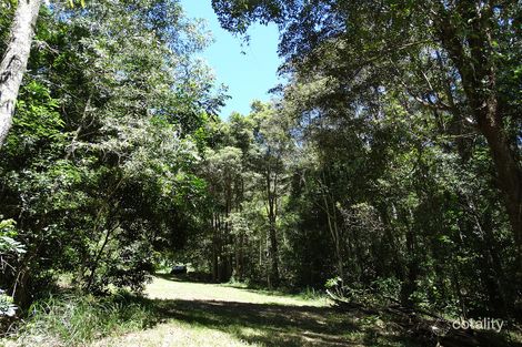 Property photo of 828 Tallebudgera Creek Road Tallebudgera Valley QLD 4228