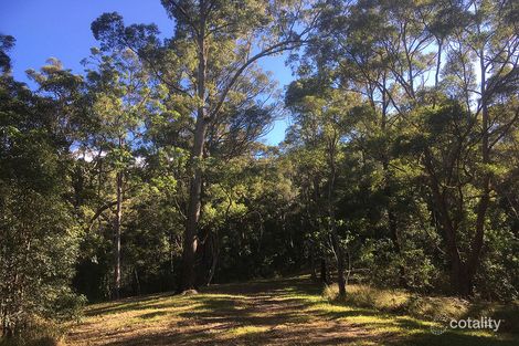 Property photo of 828 Tallebudgera Creek Road Tallebudgera Valley QLD 4228