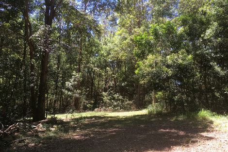 Property photo of 828 Tallebudgera Creek Road Tallebudgera Valley QLD 4228