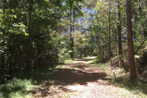 Property photo of 828 Tallebudgera Creek Road Tallebudgera Valley QLD 4228