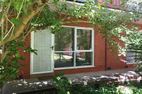 6/8 Walnut St, Carnegie, VIC 3163