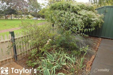 Property photo of 6 Cox Street Wynn Vale SA 5127