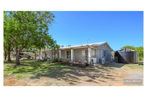 Property photo of 113 Cherryfield Road Gracemere QLD 4702