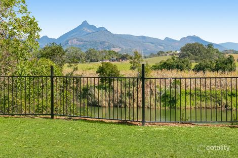 Property photo of 439 Tweed Valley Way South Murwillumbah NSW 2484