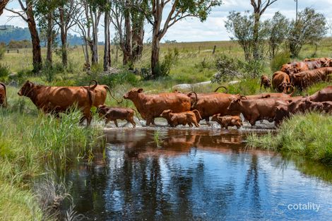 1380 Bezzants Rd, Deepwater, NSW 2371