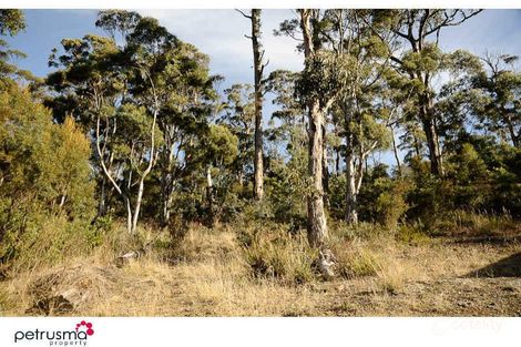 24 Woodcutters Rd, Tolmans Hill, TAS 7007