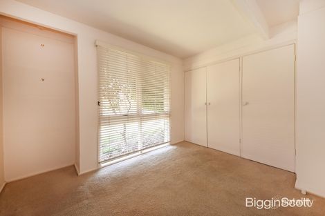 Property photo of 17 Owens Street Doncaster East VIC 3109