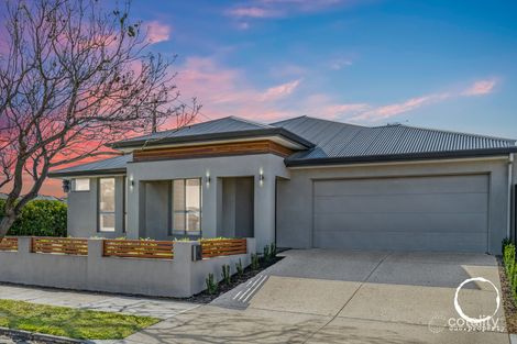 1c Grallina St, Lockleys, SA 5032