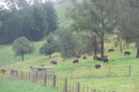 1431 Bruthen-Buchan Rd, Buchan South, VIC 3885