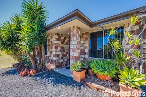 Property photo of 18 Corona Court Gleneagle QLD 4285