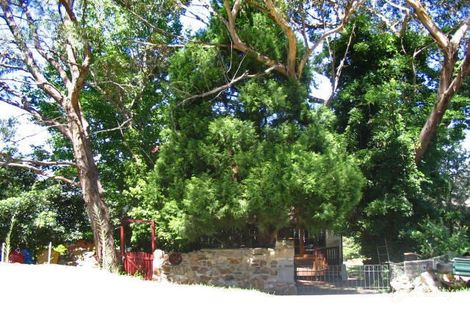 107 Winbourne Rd, Hazelbrook, NSW 2779