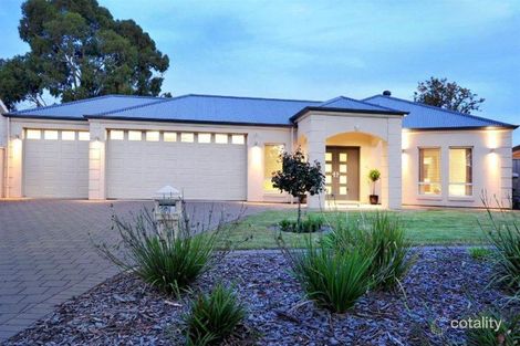 12 Paterson Cres, Morphettville, SA 5043