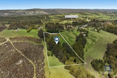59 Southorn St, Beech Forest, VIC 3237