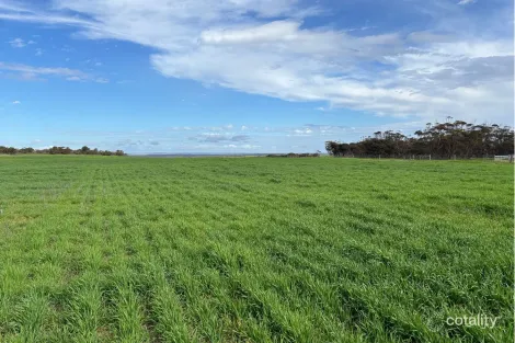 699 Balumbah Hill Rd, Solomon, SA 5641