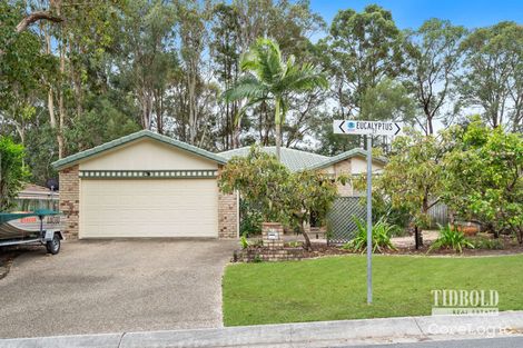 Property photo of 11 Eucalyptus Court Capalaba QLD 4157