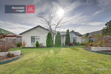 Property photo of 19 Bushfield Court Traralgon East VIC 3844