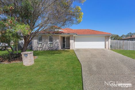 Property photo of 75 Vineyard Street One Mile QLD 4305