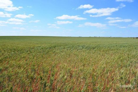 5841 Carwarp Rd, Werrimull, VIC 3496