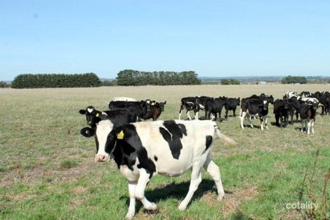 170 Tomahawk Creek Rd, Pirron Yallock, VIC 3249