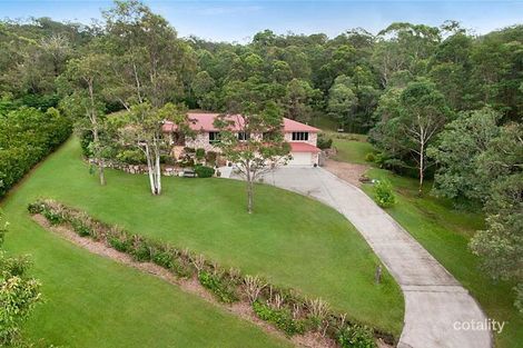 Property photo of 19 Asher Court Upper Coomera QLD 4209