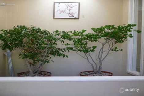 Property photo of 7 Willow Park Avenue Leura NSW 2780