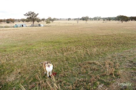 Property photo of 83 Ely Street Ashford NSW 2361