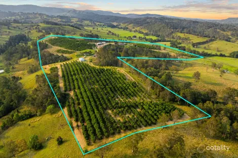 Property photo of 323 Bingeebeebra Road Bingeebeebra Creek NSW 2469