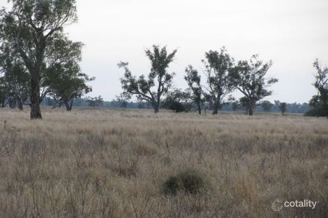 Wambianna Rd, Warren, NSW 2824