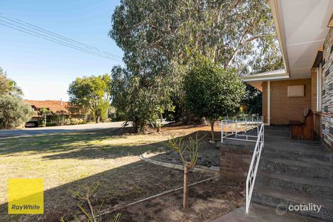 Property photo of 26 Anne Avenue Walliston WA 6076