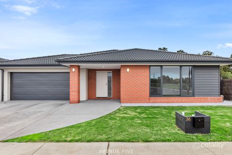 36 Albanel St, Armstrong Creek, VIC 3217