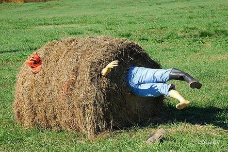 265 Litchfield Park Rd, Rum Jungle, NT 0822