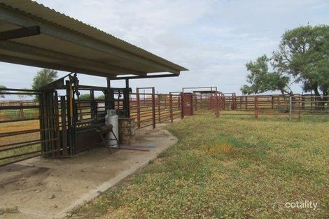 5035 Diamantina River Rd, Opalton, QLD 4735