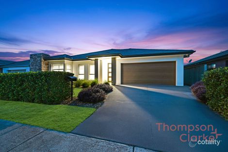 Property photo of 16 Harvest Boulevard Chisholm NSW 2322