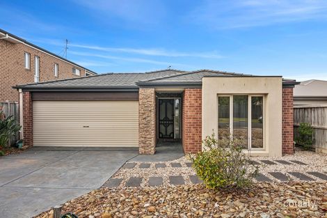 8 Sunnymead Ave, Torquay, VIC 3228
