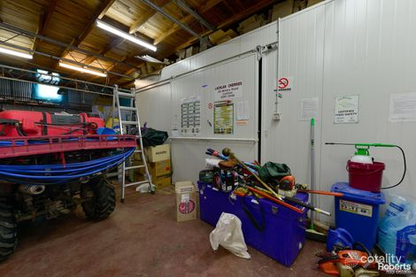 Property photo of 99 Millers Road Lachlan TAS 7140