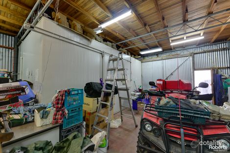 Property photo of 99 Millers Road Lachlan TAS 7140