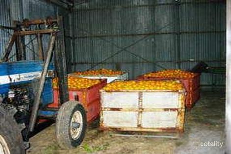 Property photo of 1245 Peats Ridge Road Peats Ridge NSW 2250