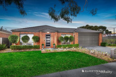 12 Neddletail Cres, South Morang, VIC 3752