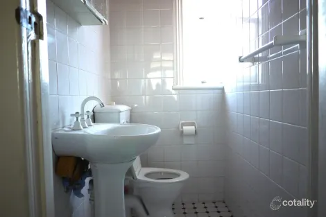 Property photo of 149 Edwin Street Croydon NSW 2132