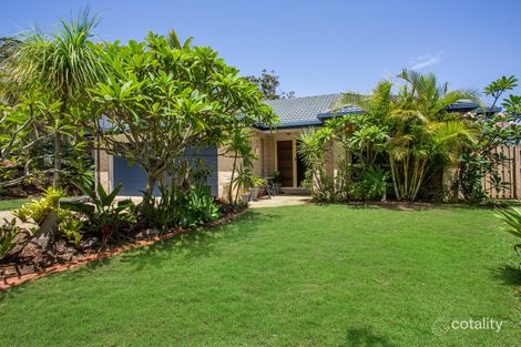 Property photo of 23 Hibertia Avenue Elanora QLD 4221