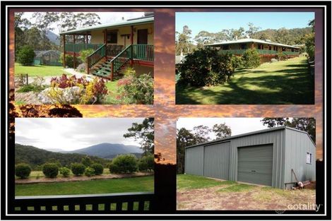 Property photo of 741 Gradys Creek Road Gradys Creek NSW 2474