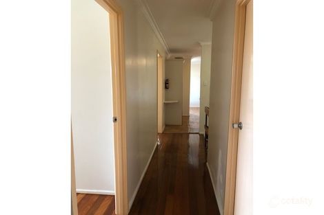 Property photo of 49 Macadamia Street Macgregor QLD 4109